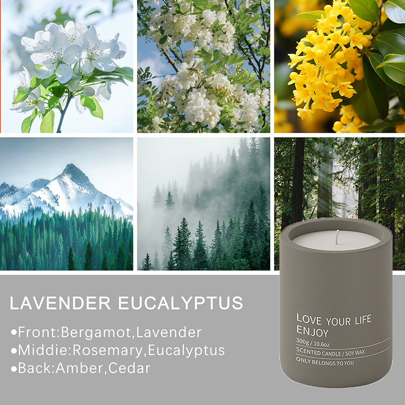 Ningbo Habest Baile Co, Teo.