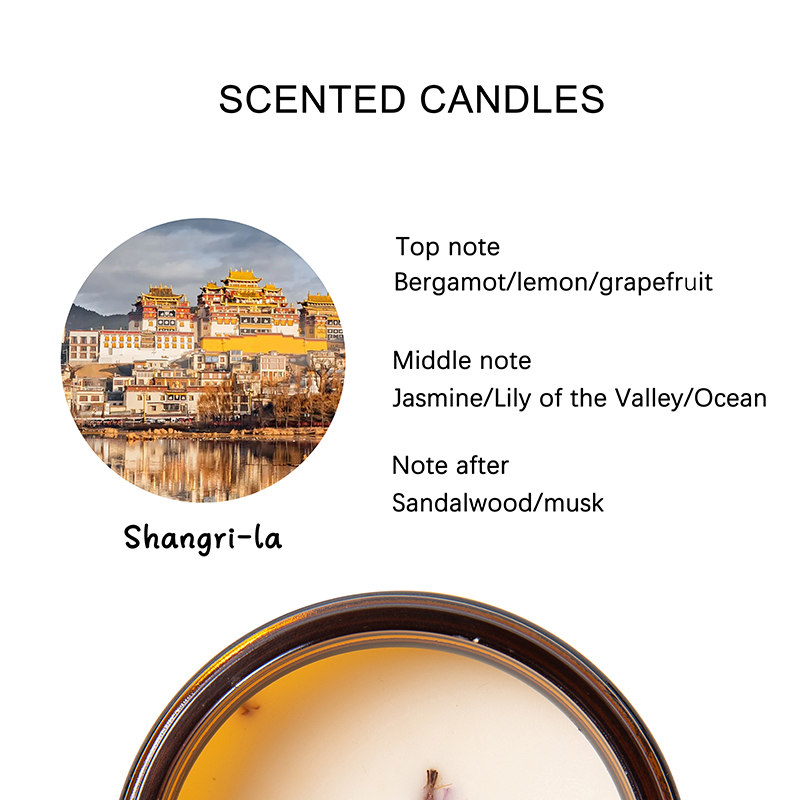 Ningbo Habest Baile Co, Teo.