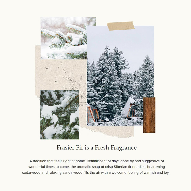 Ningbo Habest Baile Co, Teo.