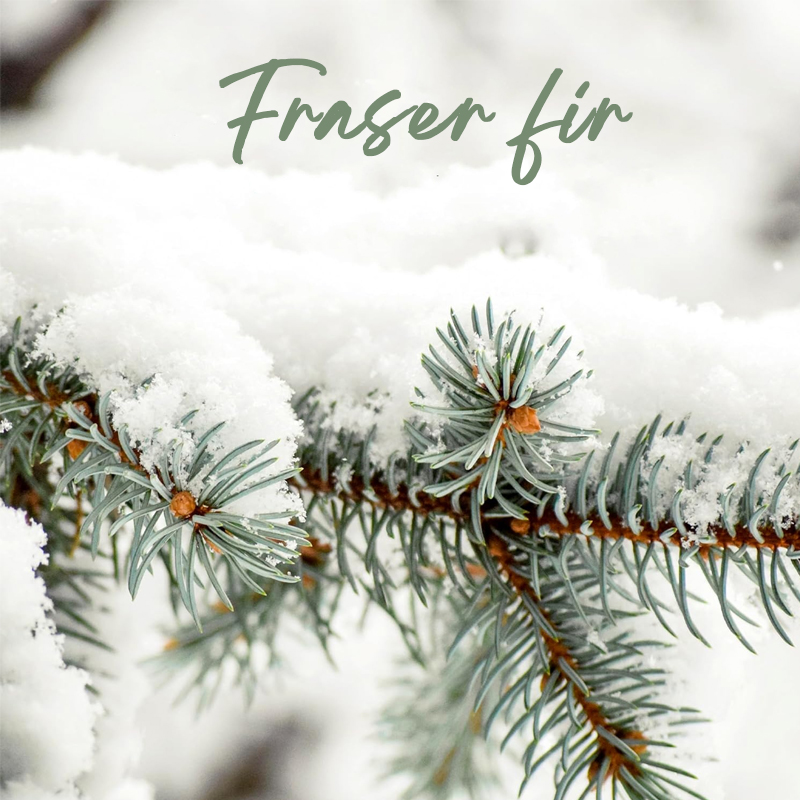 Ningbo Habest Baile Co, Teo.