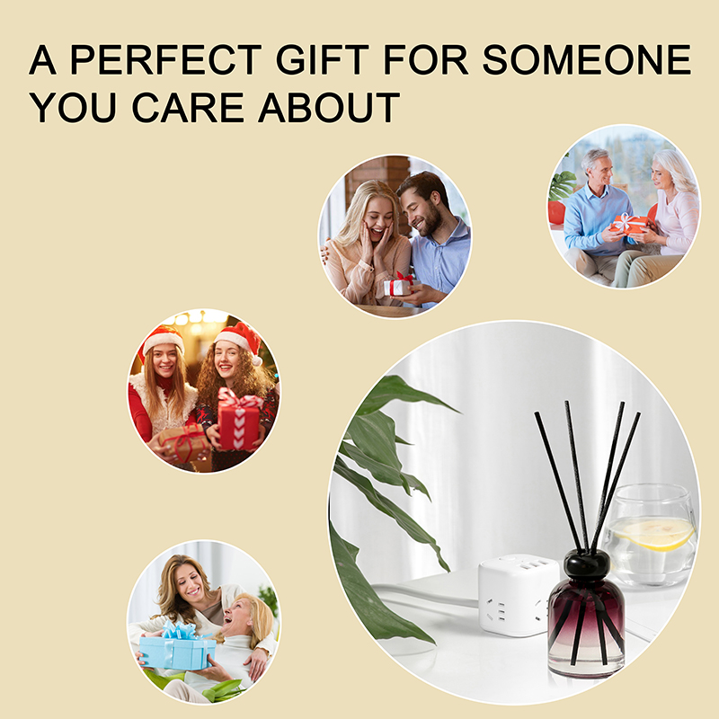 Ningbo Habest Baile Co, Teo.