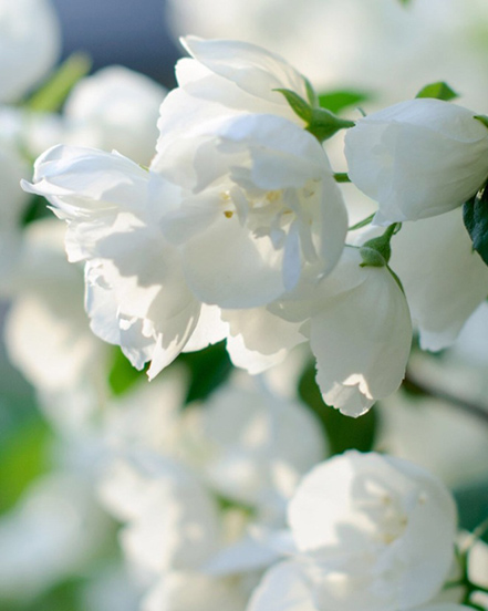 Ningbo Habest Baile Co, Teo.