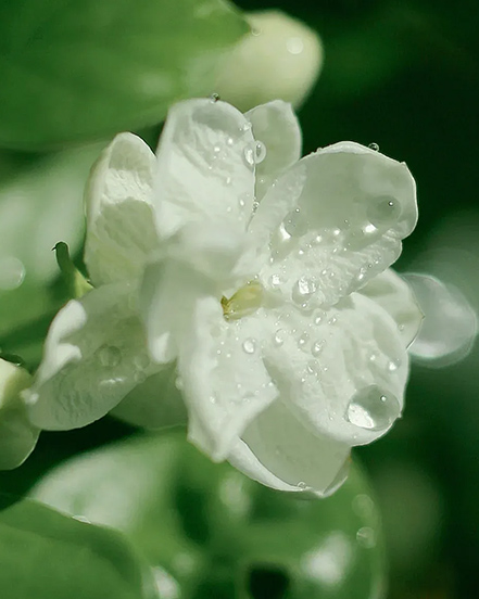 Ningbo Habest Baile Co, Teo.